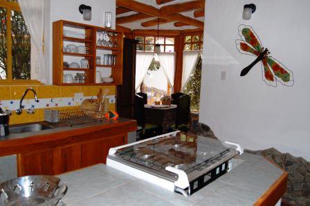 Cocina con estufa y mesón de preparación.